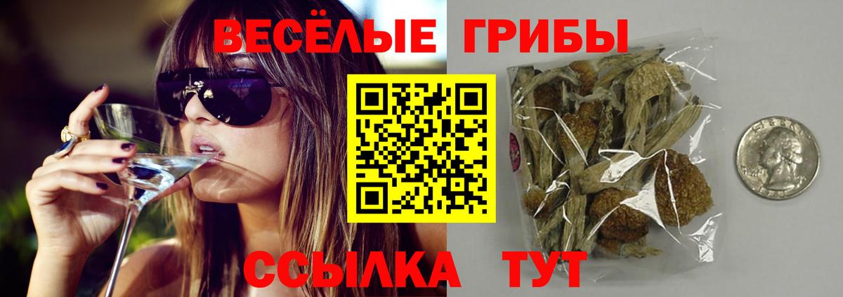 Псилоцибиновые грибы MAGIC MUSHROOMS Рассказово