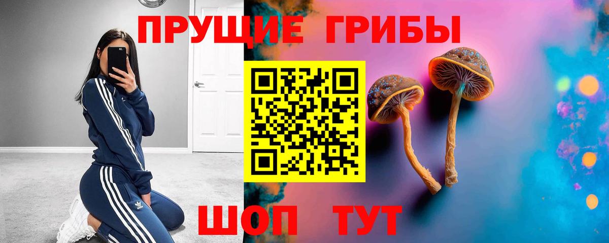 Рассказово  где купить наркоту  Вход с VPN  Галлюциногенные грибы MAGIC MUSHROOMS  Галлюциногенные грибы Psilocybe 